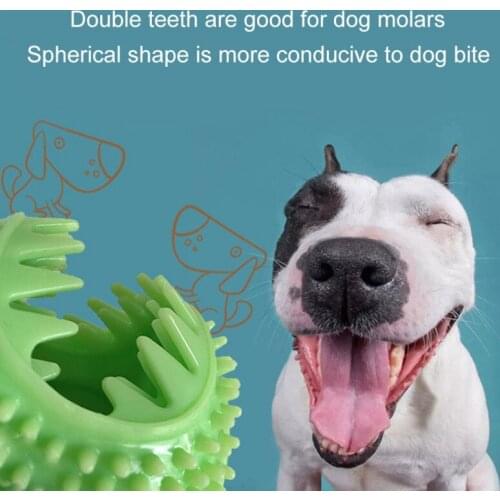 A Pet Toy Pet Food Ball ToothBrush Chew Toy Tumbler Style Pet Dog Interactive Toy Dog Food Dispening Toy