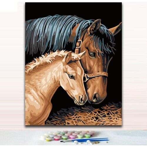 Diy digital paintings Abstract creative flower horse pictures drawing paints by numbers with kits handwork for modern hoom decor