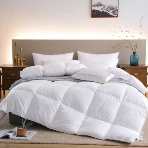 Five-star Duvet High Quality Winter Quilt Core Home Bedroom Blankets Comfortable Pure White Cotton Quilt All Seasons Bed Cover