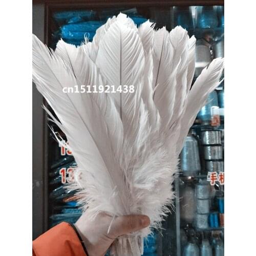 Free shipping wholesale 10pcs rare natural white Eagle feathers 35-40cm/14-16 inch Clothing accessories stage performance diy