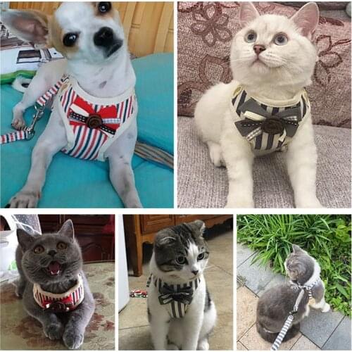 Breathable Bow-knot Small Dog Pet Harness and Leash Set Puppy Cat Vest Harness Collar For Chihuahua Pug Bulldog Cat arnes perro
