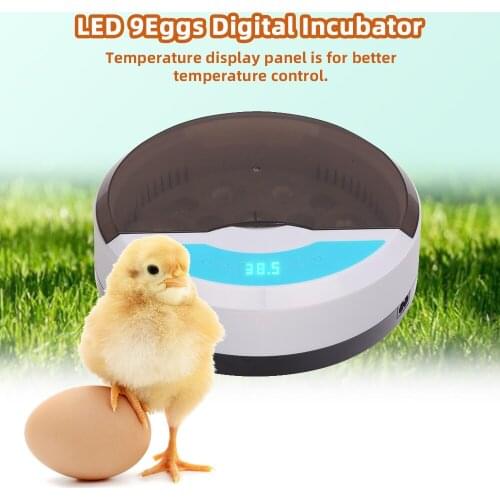 9 Egg Automatic Poultry Incubator with LED Lights Automatic Brooder Farm Chick Hatchery Machine Digital
