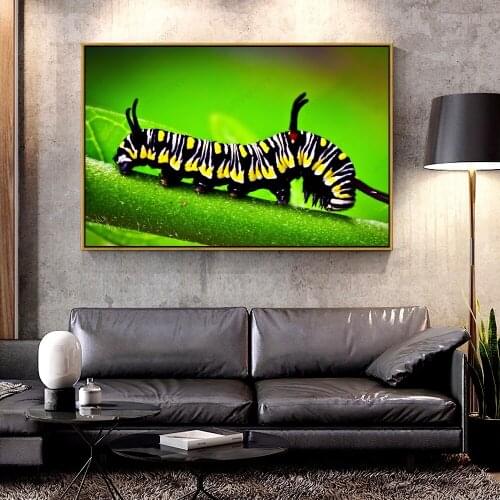 Artcozy Oil Canvas Painting caterpillar_macro-For Home Decoration Wall Art