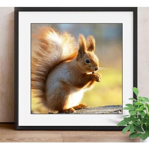 Diamond Embroidery Animal Squirrel Round Crystal 3D Diamond Painting Cross Stitch Needlework Home Decorative