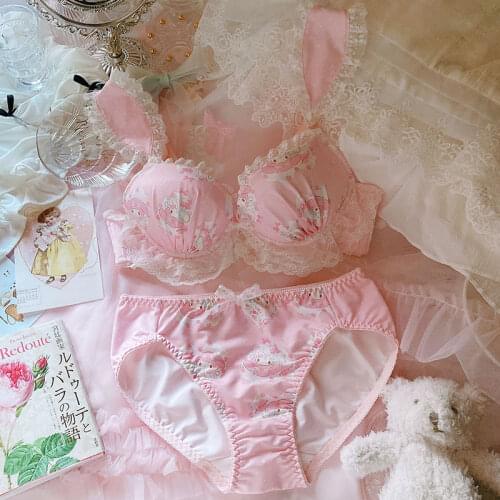 Cute Sexy Pink Japanese Bra & Panties Set Underwire Soft Underwear Intimates Set Kawaii Lolita