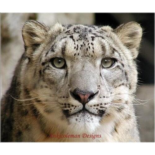 Needlework for embroidery DIY French DMC High Quality - Counted Cross Stitch Kits 14 ct Oil painting - Snow Leopard 3