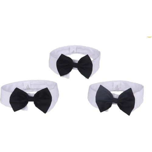 PAWFECT Dog Accessories