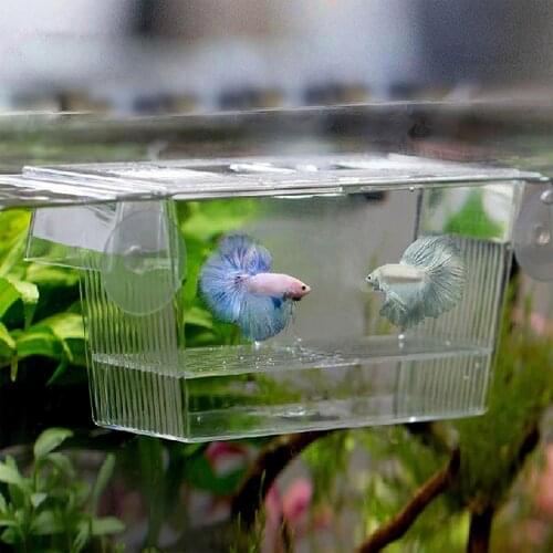 Transparent Fish Tank Acrylic Aquarium Incubator Breeding Isolation Box Juvenile Hatching Incubator Multifunctional Fish House