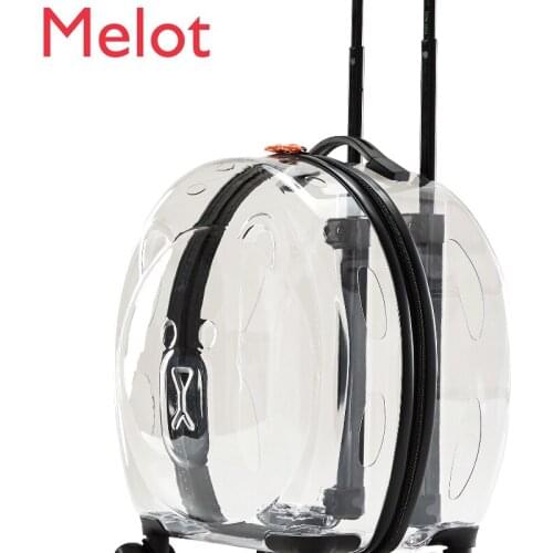 Cat Bag Portable Trolley Case Backpack Cat Transparent Dog Pet Large Bubble Breathable out Luggage Space Capsule