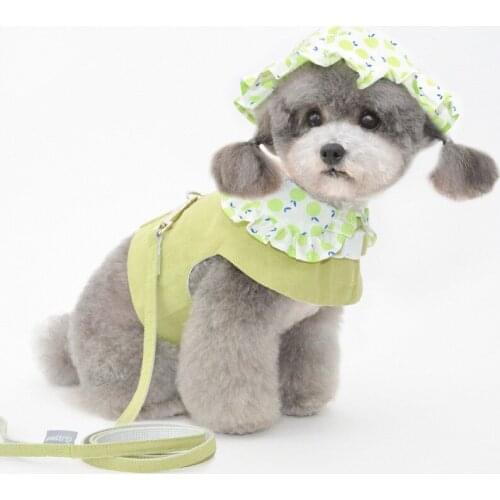 Outdoor Pet Dog Harness Vest Puppy Dog Leash Lead Set Yorshire Pomeranian Bichon Poodle Schnauzer Dog Clothes Chest Strap Outfit
