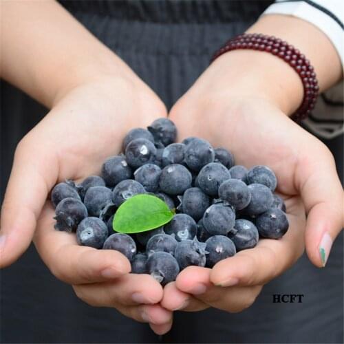 Photography props Home hotel cafe restaurant Shop Store decoration Artificial simulation Blueberry faux fake fruit model