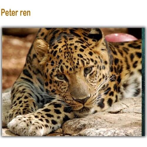 Peter ren Diamond painting Cross stitch Diamond embroidery Round/Square mosaic Full Picture of rhinestones "Leopard lying down"