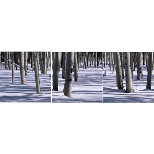 3 Panel Modern Printed White Snows Forest Painting Picture Canvas Art Home Decor Wall Pictures For Living Room No Frame BJQ0781