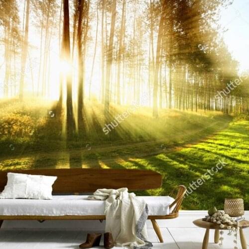 Custom natural scenery wallpaper,Sunny forest ,photo mural for living room bedroom restaurant background wall wallpaper