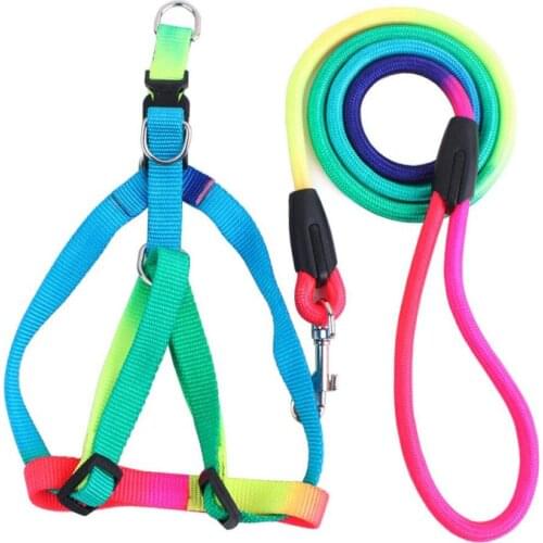 Pet Leashpet Leash Rope Set Dog Colorful Chest Strap Nylon Dog Leash Small and Medium Dog Teddy Bear Dog Leash Dog Chain Small