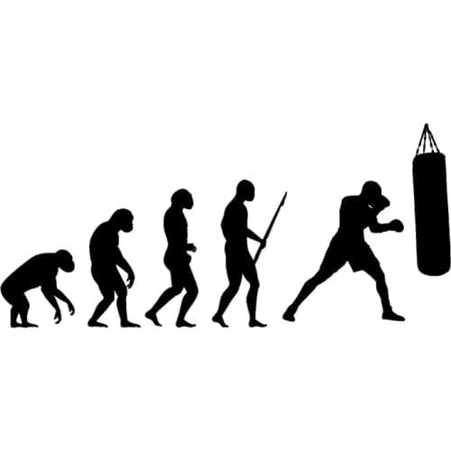 18CM*8.2CM Interesting Evolution Boxing Sports Decor Silhouette Vinyl Car Sticker Black/Silver S9-0600