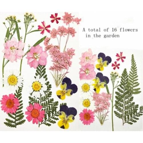 Flower Pressed Flower Sticker Decoration Eye Corner Sticker Petal Bridal Dry Flower Girl Photo