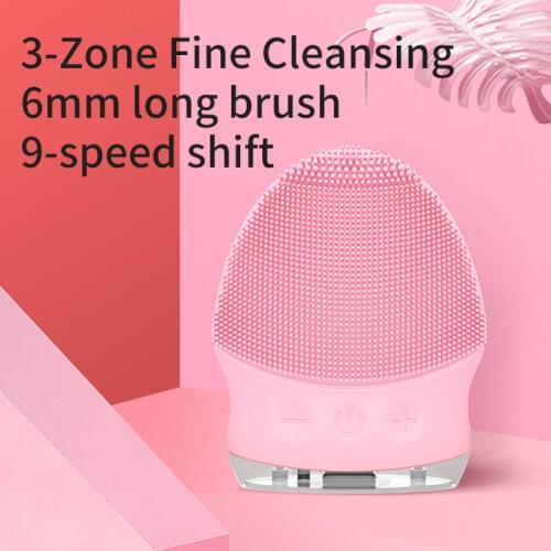 IGoBle Electric Face Brushes