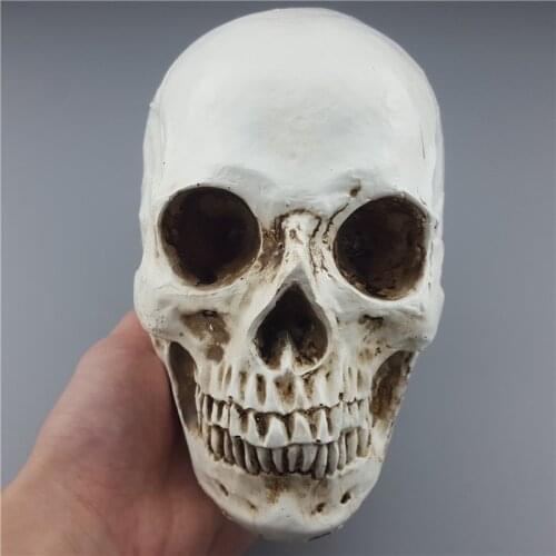 MRZOOT Resin Human Skull Skeleton Bones Medical Model Size 1:1 Halloween Home Decoration High Quality Decorative Craft