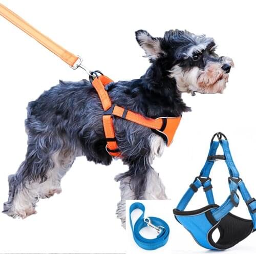 Dog Harness Leash Rope Set Adjustable Dogs Chest Back Traction Rope Puppy Pet Durable Outdoor Walking Rope Chain Belt