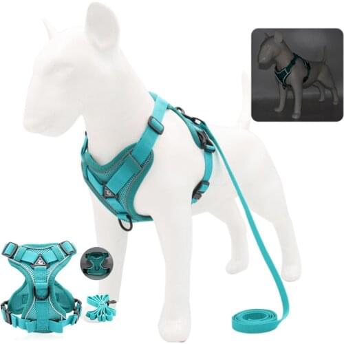 Dog Cat Harness With Leash Set Reflective Breathable Adjustable Puppy Harness Running Rope For Small Medium Dog Cat Harness Vest