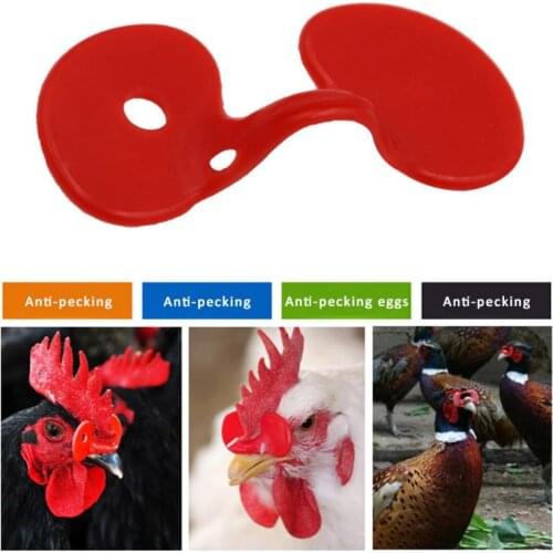 Hot Sales 1PC New Quality Plastic Chicken With Bolt Glasses Anti-pecking Goggles Glasses Chicken Necessary Retail And Wholesale