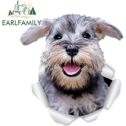 EARLFAMILY 13cm x 12cm Car Sticker Smiling Schnauzer Dog Stickers for Wall Fridge Toilet Mini Schnauzer Lover Ripped Torn Decal