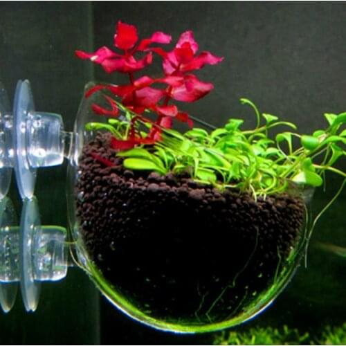 Aquarium decoration Hanging fish tank Mini Crystal Glass Pot Polka Water potted planting cylinder cup aquarium accessories 2 2