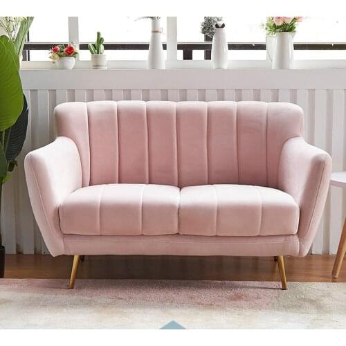 Nordic Living Room Sofas Light Luxury Fabric Double Simple Bedroom Sofa Chairs for Bedroom Home Furniture