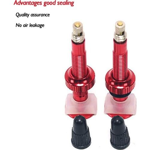 2pcs 60mm Bicycle Presta Valve Stem Aluminum Alloy Tubeless Tire French Valve Stem for MTB Mountain Road Bike MTB Nipple Tool