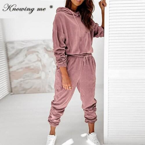 Autumn Winter Hoodies Tracksuit Women Casual VelvetTwo Piece set Female Hooded Sweatshirts Sweatpants Sweatsuits dropshipping