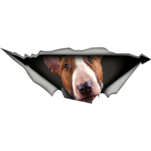 Dawasaru Bull Terrier Car Sticker Personalized Waterproof Decal Laptop Suitcase Truck Motorcycle Auto Accessories PVC,13cm*4cm