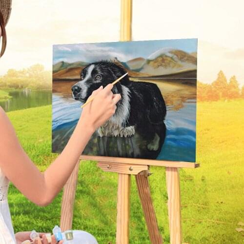 Animal Border Collie Painting By Numbers Package Acrylic Paints 50*70 Paiting By Numbers Home Decoration Crafts Handiwork