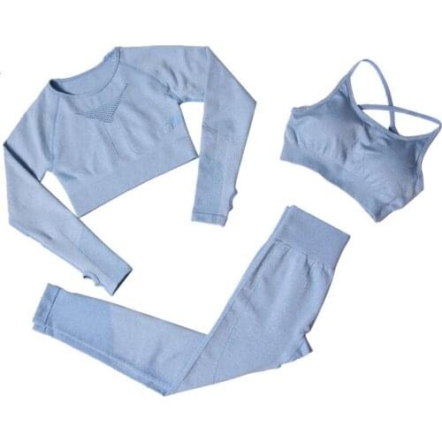 2020 Women Seamless yoga set Fitness Sports Suits GYM Cloth Yoga Long Sleeve Shirts High Waist Running Leggings Workout clothing