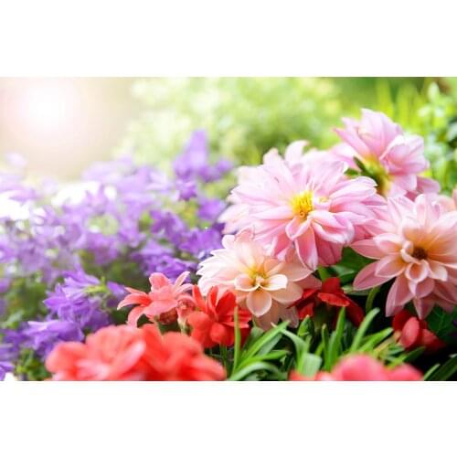 Colorful Flowers 5D DIY full diamond painting embroidery cross stitch mosaic home decoration wall decor handmade diy gift