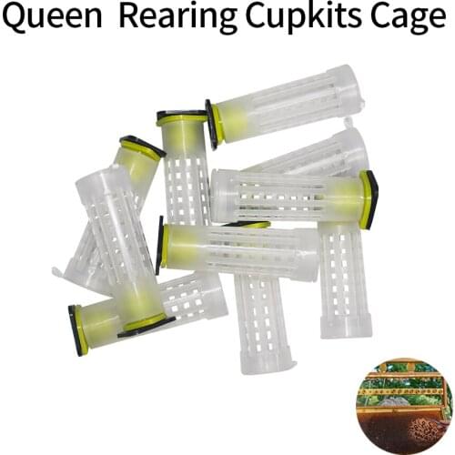 10Pcs Beekeping Tool Nicot Queen Rearing Cupkits Cages Bees Roller Cage Holder Fixtures Apiculture Equipment