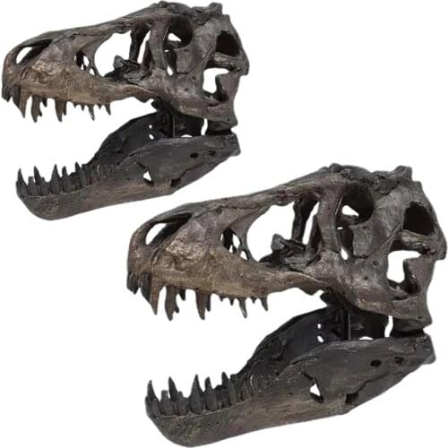 Dinosaur Resin Head Model Head Figurine Figurine Indoor Home Collectibles