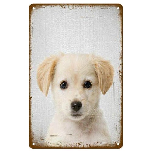 Metal Tin Wall Card Retro Fat Dog Original Design Family Bedroom Living Room Room Decoration Old-fashioned Metal Sign 8X12 Inch