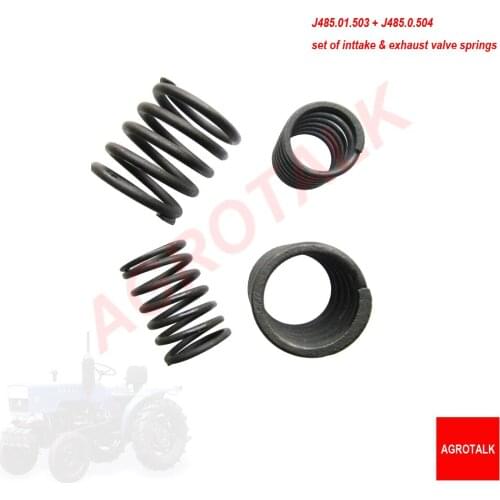 Set of intake and exhaust valves springs for Fengshou Estate FS180-3 / FS184 with engine, part number