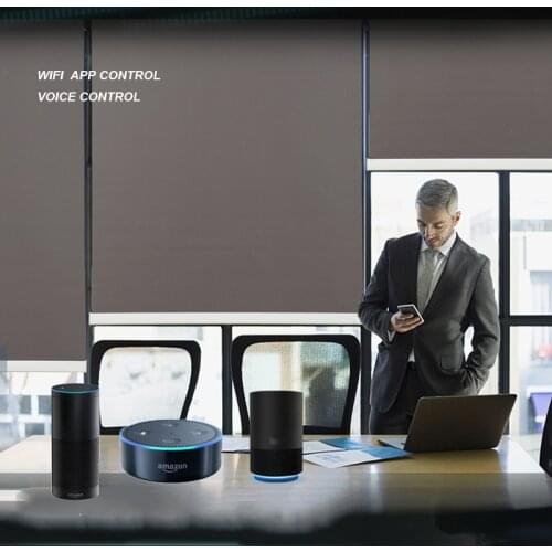 New arrival Original Dooya Tubular Motor DM35F wifi Alexa Google home control For Motorized Rolling Blinds