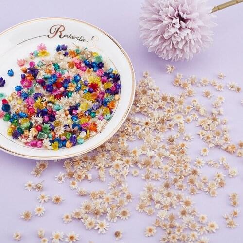 200pcs Dried Flowers For DIY Art Craft Epoxy Resin Candle Making Jewellery Glass cover ball filler Dried Flowers Accessories