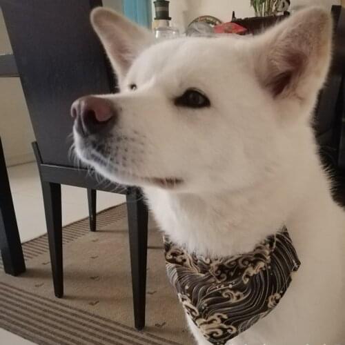 Pet Dog Bandanas Small Dog Cat Scarf Adjustable Denim Dog Puppy Bandana Bibs Pet Dog Accessories Dropshipping A2010