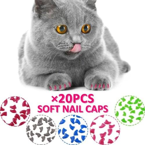 20pcs colorful Cat Nail Caps Kitty Paw Beauty Fingernail Cap with glue Soft Claws Nail cover Pet Nail Protector Pet Supplies