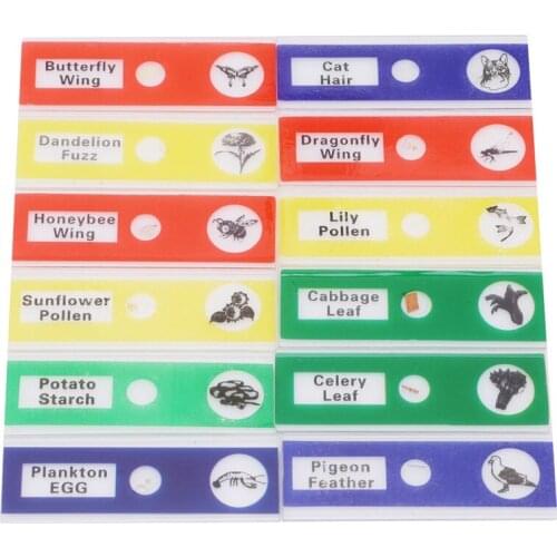 Birthday Gift 12pcs Students Children Educational Plastic Prepared Microscope Slides Biological Specimen for Toy Kids Microscope