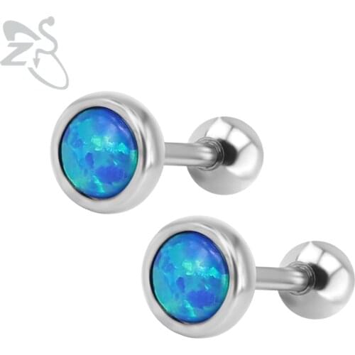 Fashion Stud Earrings with Opal Stones Brinco 316 Surgical Steel Ear Studs Piercing Cartilage Opal Earring For Female Men Girls