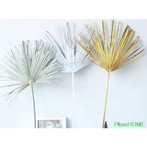 1Pc New 40~55cm Palm Fan Leaf Dried Flower Palm Leaf Window Reception Party Art Wall Hanging Decoration Wedding Arch Arrangement