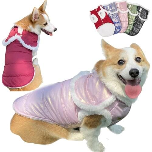 2021 Winter Dog Coat Jacket Cotton Pet Dog Cloak Clothing Clothes For Small Dogs Goods For Pets Dog Clothes For French Bulldog