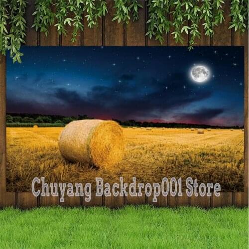 Autumn Party Photo Backdrop Custom Leave Forest Maple Leaf Happy Birthday Party Decoration Photography Backgrounds Banner