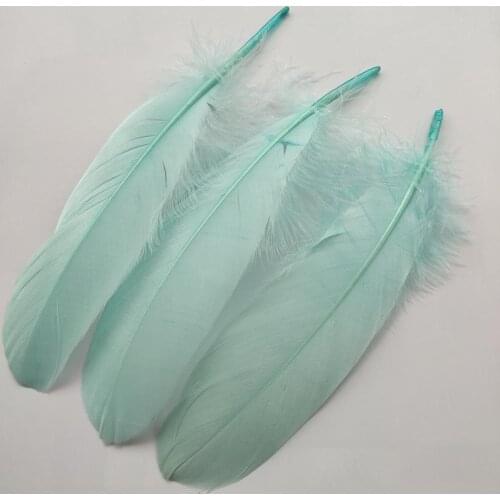 Hot 20pcs Beautiful Mint Green Hard Goose Feathers 15-20cm/6-8inch Christmas Decoration Clothing Shoes Hat Accessories