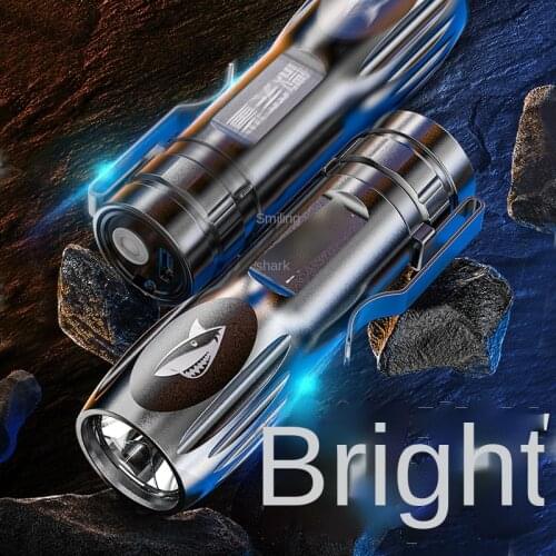ZINTARLY Portable Lamps